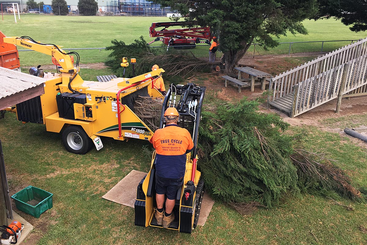 TreeCycle with a Vermeer S925TX Mini Loader and BC1800XL Brush Chipper