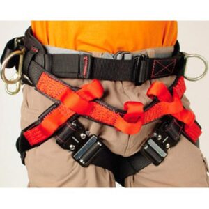 AMT Deluxe Master Harness® by Buckingham